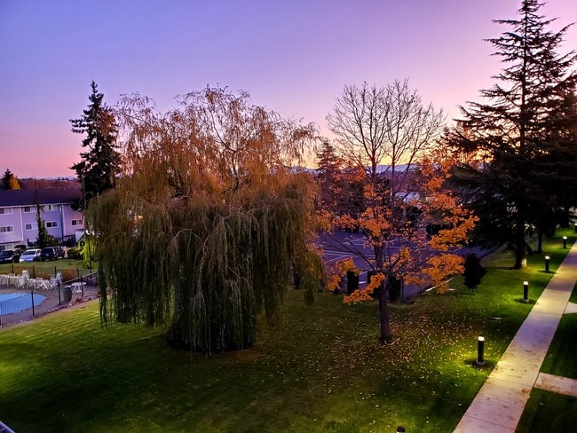 Photo - Northern Lights