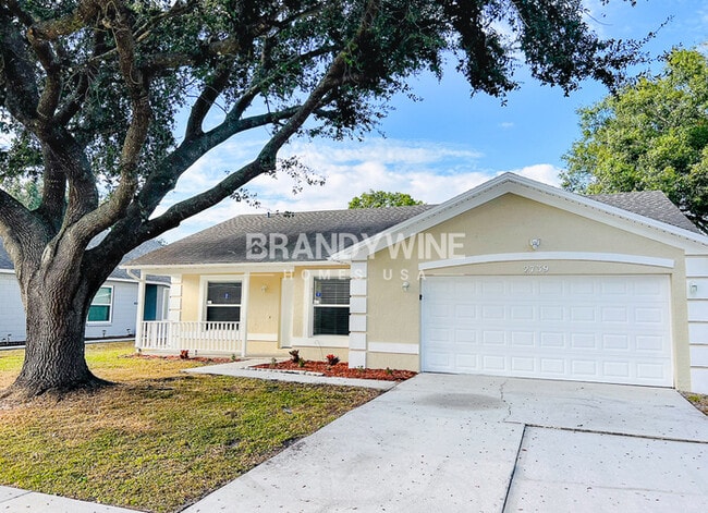 ONE MONTH FREE RENT!! - ONE MONTH FREE RENT!! House