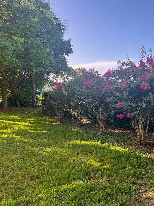 Building Photo - Fabulous 4/2 in Spring Glen Debary!