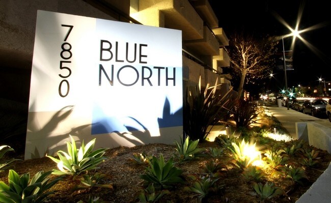 Entrance - Blue North