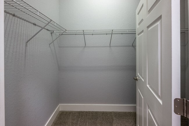 Photo - Citrus Vista