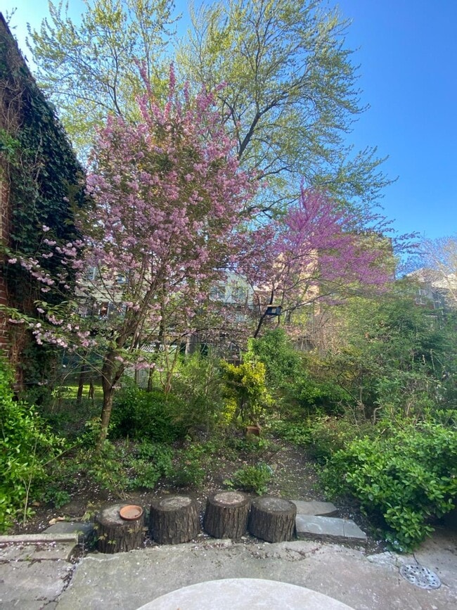 Building Photo - 153 Heyward St Unit 1st floor garden