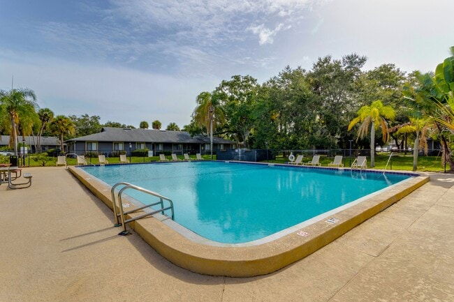 Photo - Windover Palms