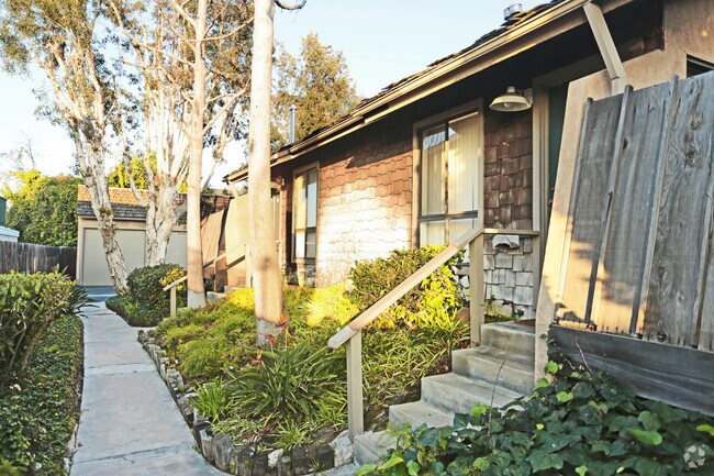 Photo - Country Woods