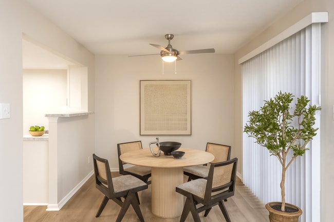 Photo - The Brooklyn Memphis