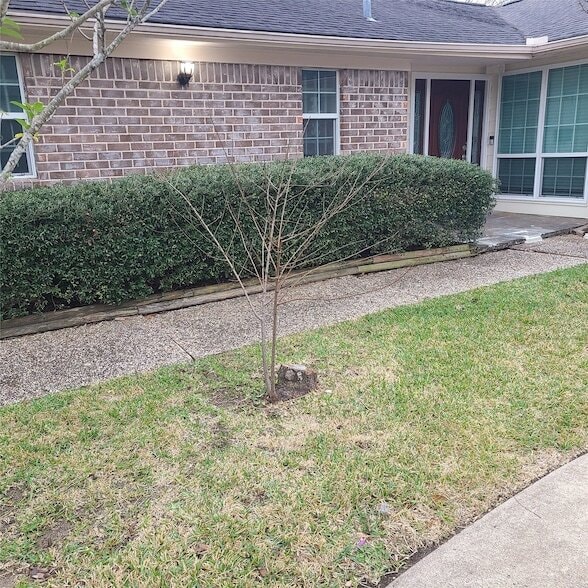 Photo - 1006 Walnut Bend Ln