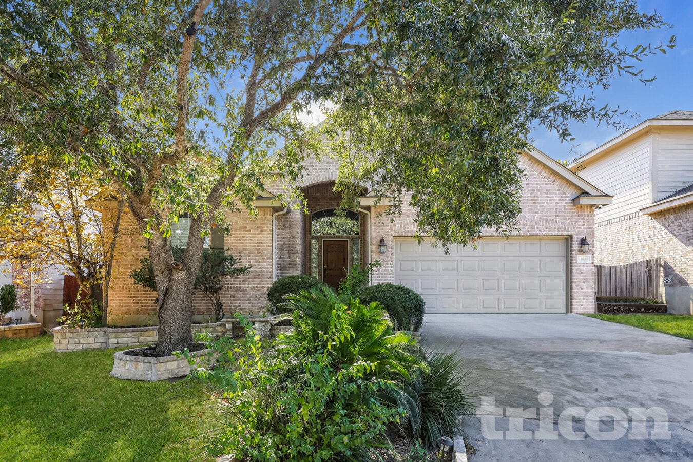 Photo - 11638 Dense Star