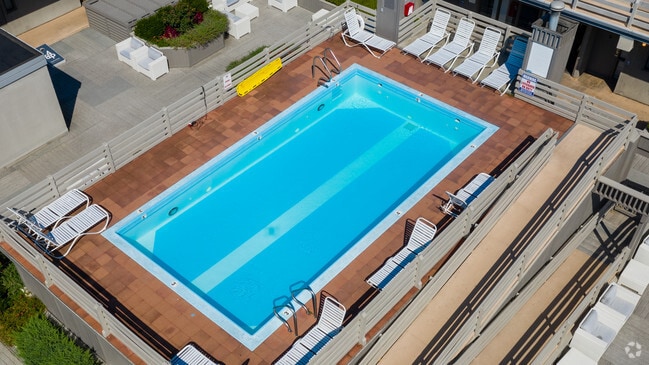 Piscina en la azotea - Fourth & Plum