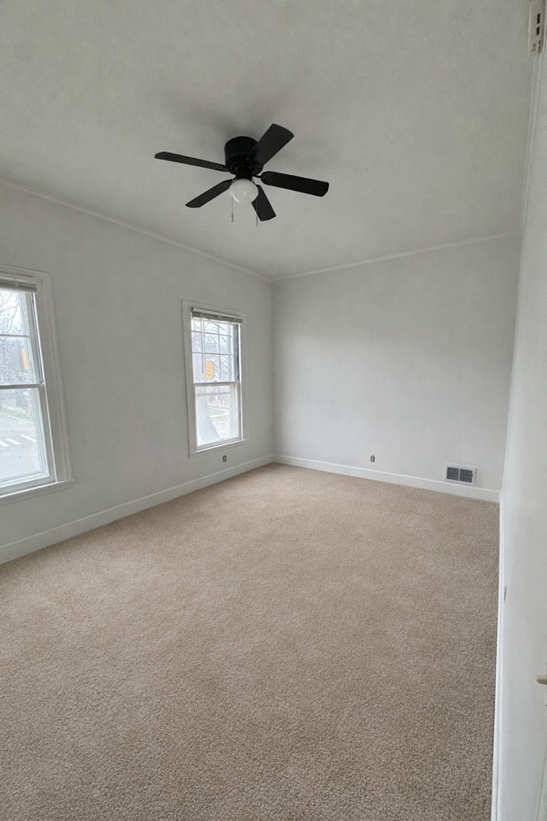 Photo - 221 Alexander St