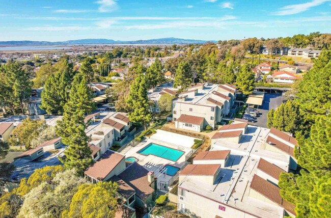 Photo - 1333 N Camino Alto