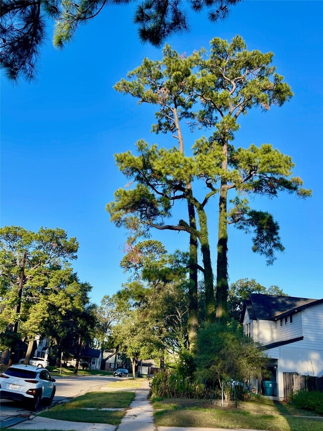 Photo - 6674 Sylvan Rd