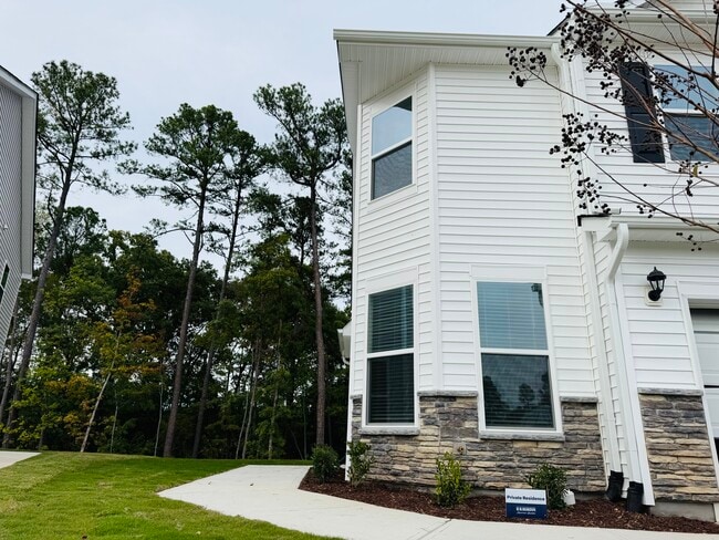 Photo - 1919 Hinesley Dr