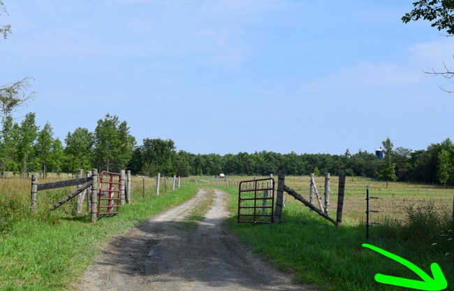 Photo - 24 Lake Shore Rd