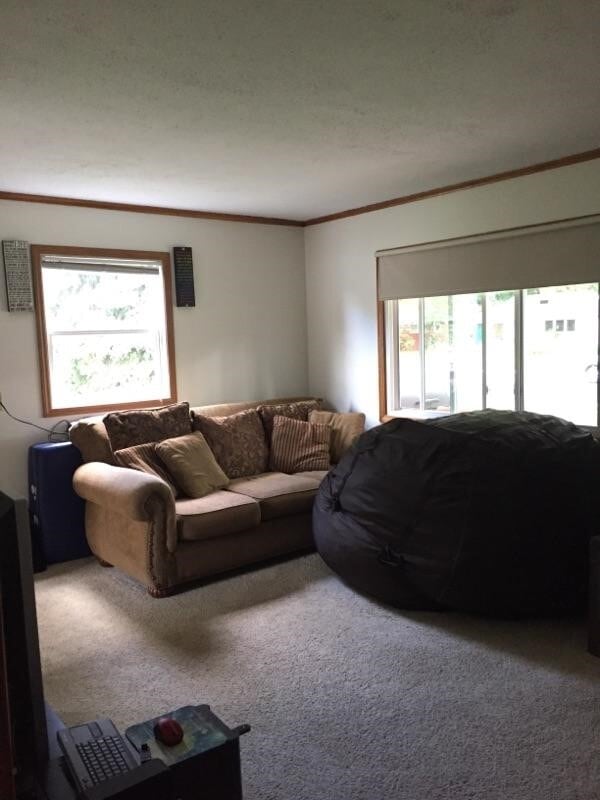 Photo - 122 Harding St