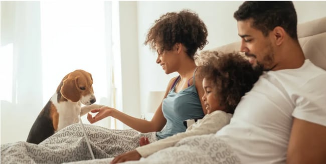 Building Photo - Shadetree