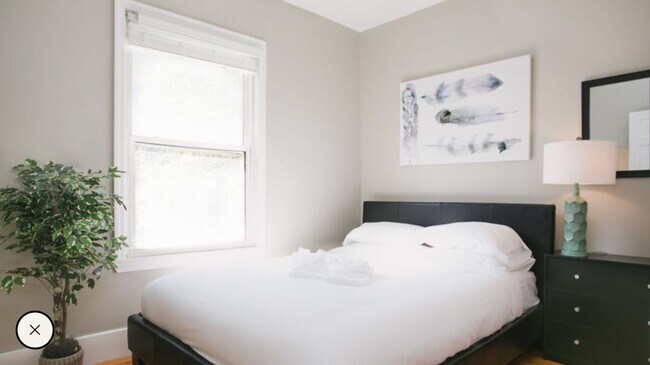 Photo - Furnished 5 Bed / 3 Bath Near Harvard Square | Central A/C | 9/1