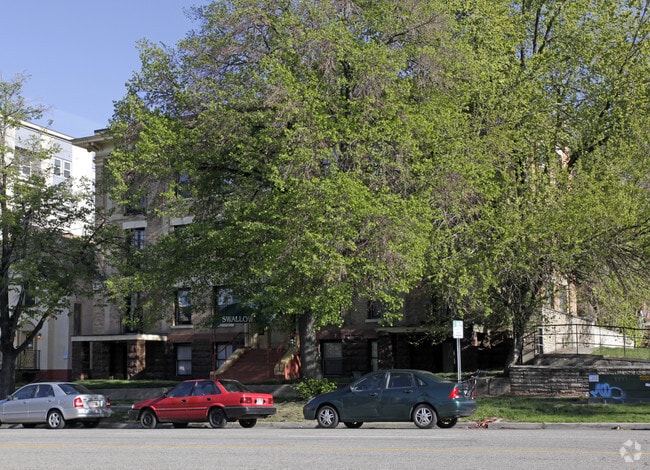 The Swallow - The Swallow