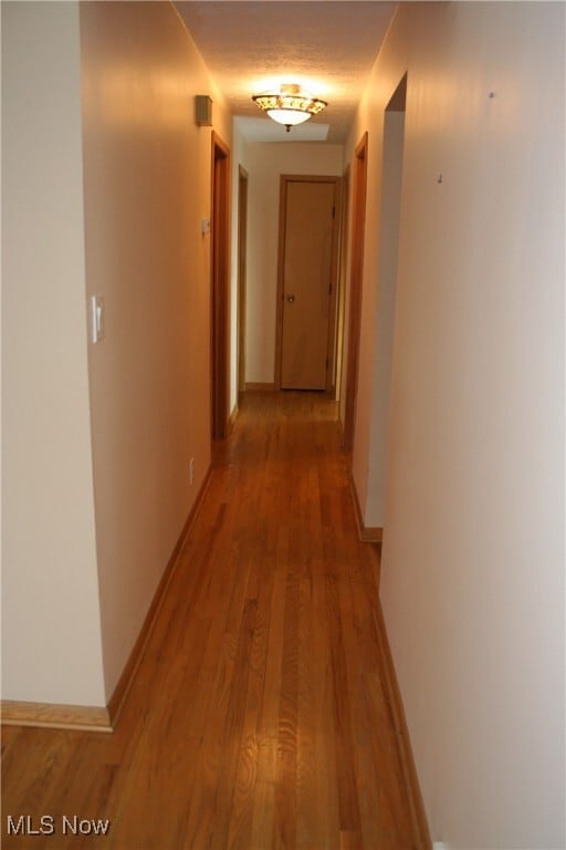 Building Photo - 300 Calvin Dr Unit 300 & 304