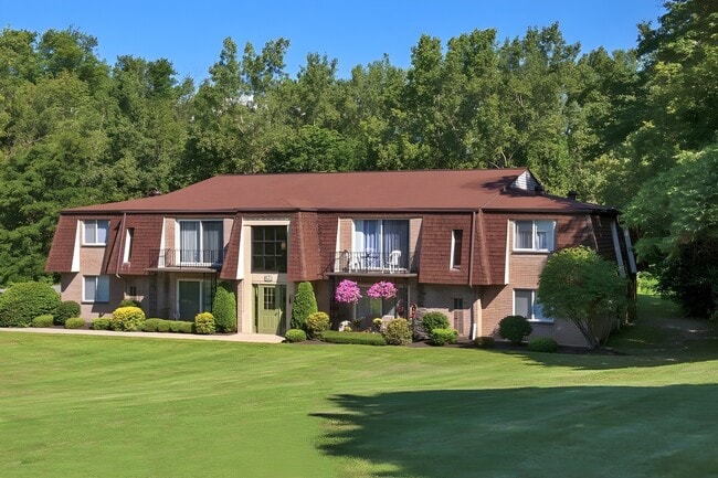 Big Tree Manor