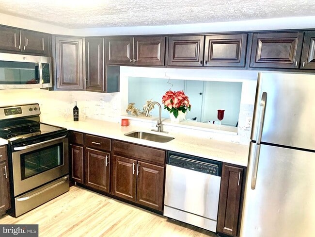 Photo - 11815 Quassia Court