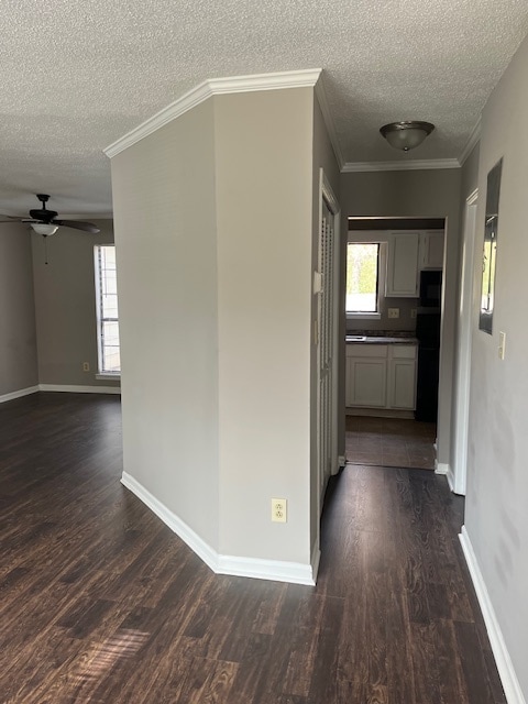 Photo - 419 Oakland Rd