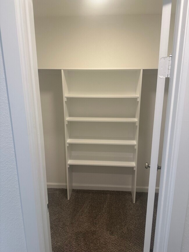 A1P Premium Closet