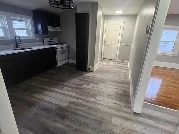 Photo - 29 Princess Ave