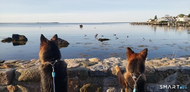 Photo - 117 Water St