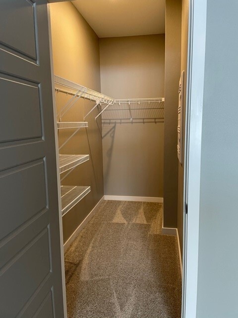 Walk in Closet