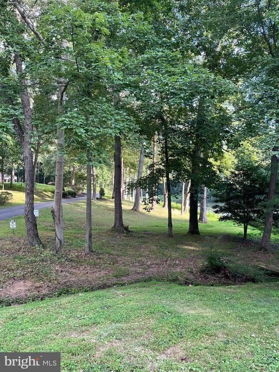 Photo - 3137 Trenholm Dr