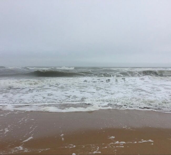 Building Photo - 15 Alamanda Dr