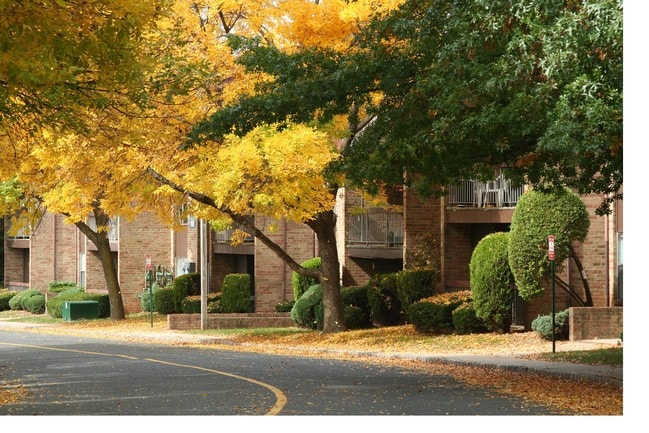 Gill Lane