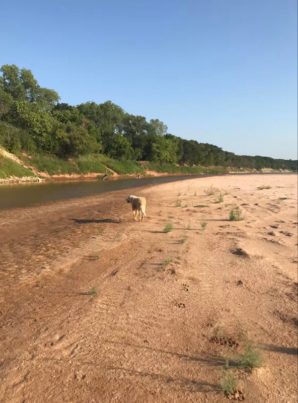 Photo - 4455 County Rd 127