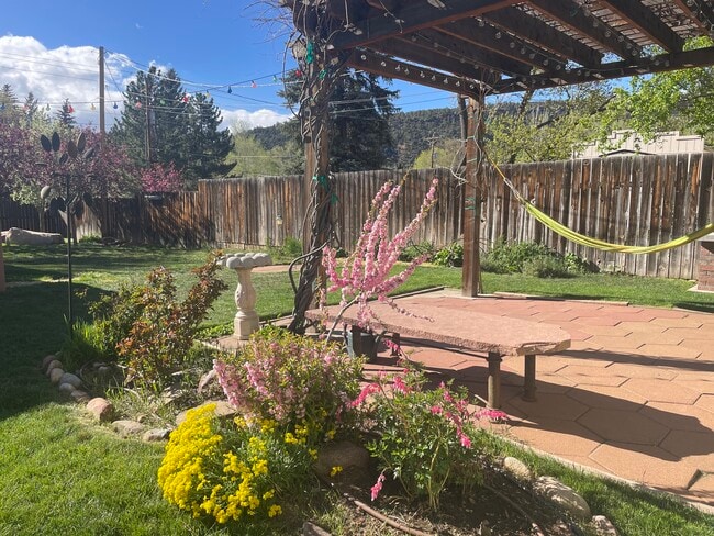 Back yard partial - 2905 E 5th Ave