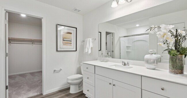 Limestone Creek Rental Homes