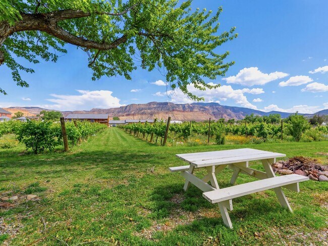 Photo - Cute apartment located in Palisade Unit 4