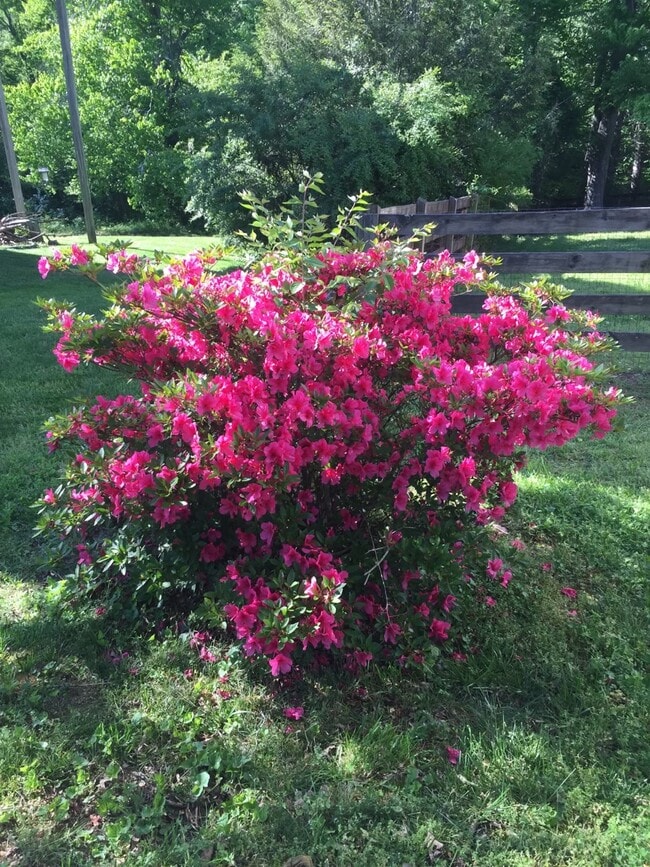 Photo - 144 Scenic Harpeth Dr