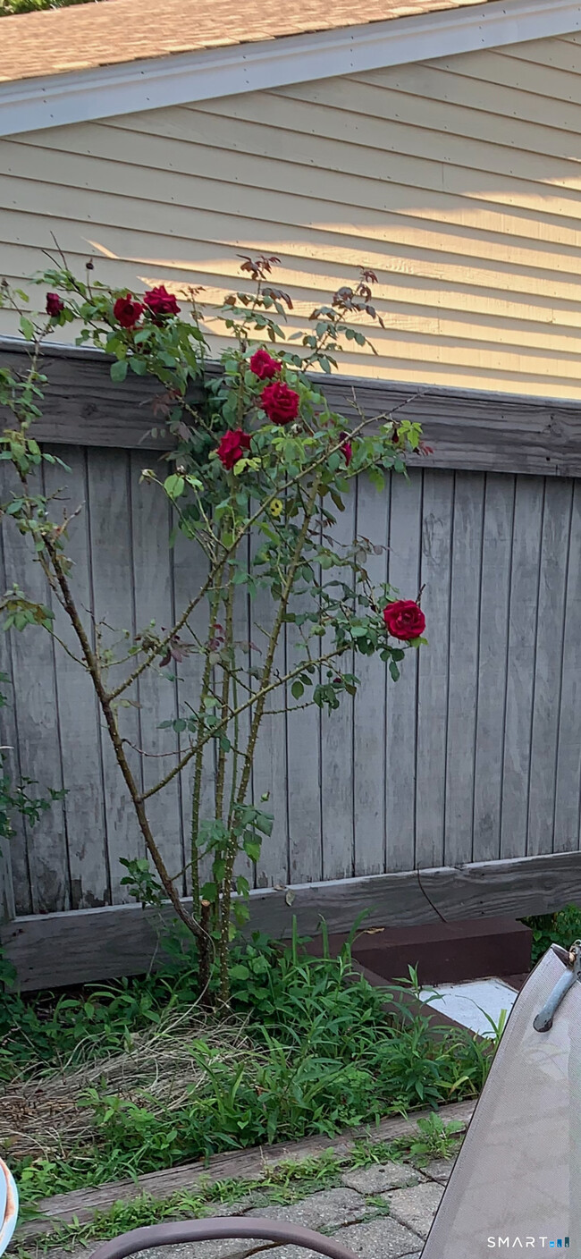 Photo - 630 Longfellow Dr