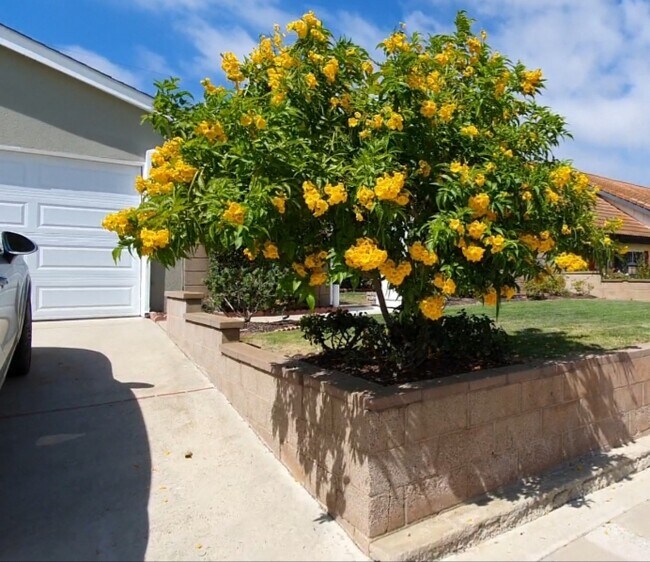 Photo - 5507 Norton St