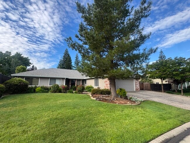 Photo - Stunning 3 bedroom 2.5 bathroom home in Folsom with large backyard
