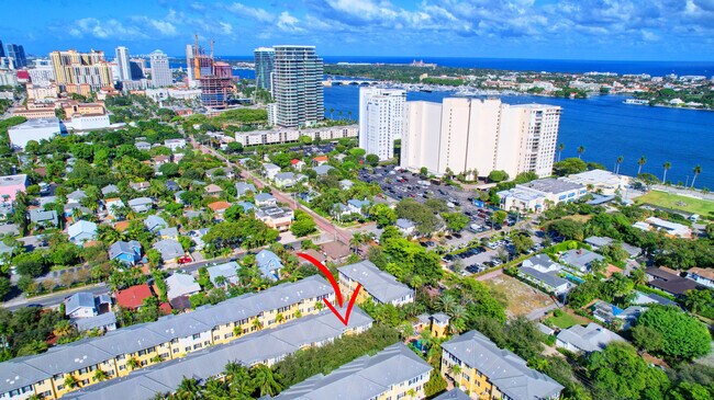 Photo - 312 N Bromeliad