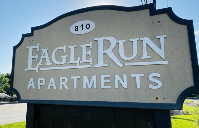 Eagle Run
