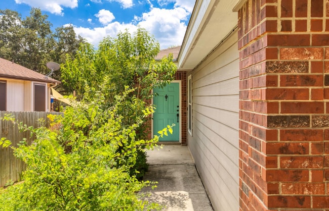 Photo - 8342 Shooting Quail