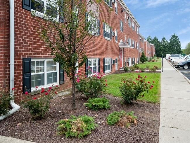 Professional Landscaping Along Apartment Building Front - Society Hill at Lehigh Park