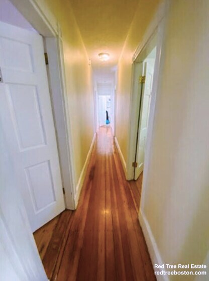 Photo - 53 Hillside St