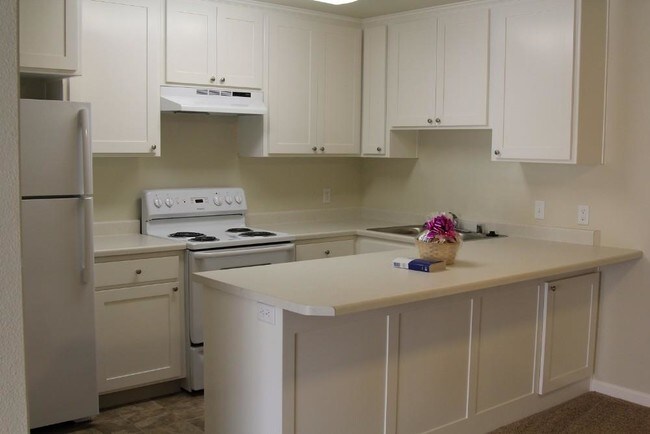 Apartment Kitchen - Tuscan Villa