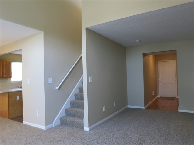 Photo - 5624 Wood Hollow Dr