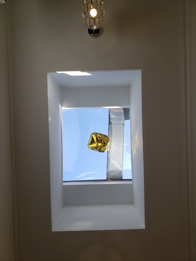 Skylight - 5301 N Clark St Unit 2 Rear