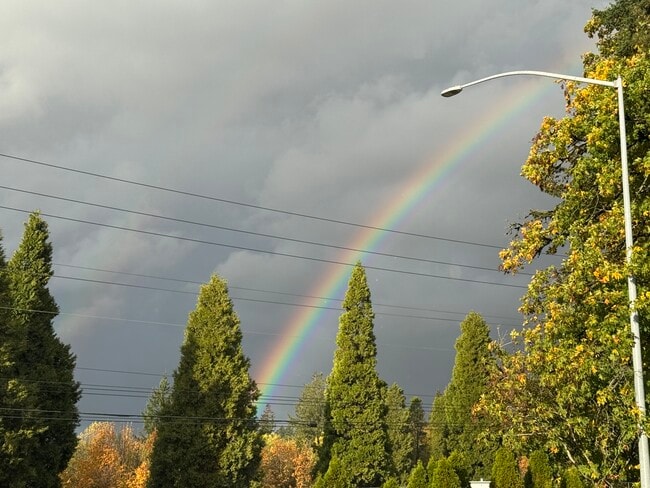 Photo - 11240 SW Barbur Blvd Unidad 27