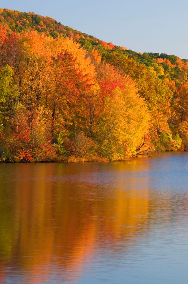 Photo - 2730 Berlin Tpke